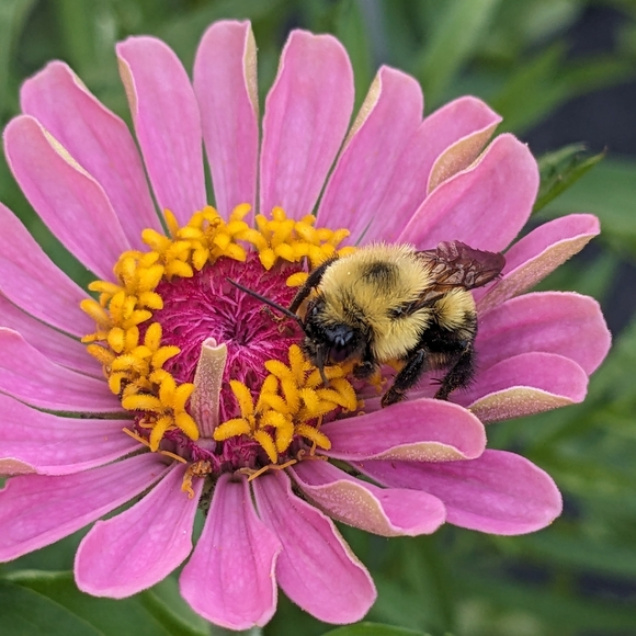 Happy 2025l! Thanks for supporting our small business!🌻🌈🥰💐🍄🎁🛍️💌 - Picture 4 of 17